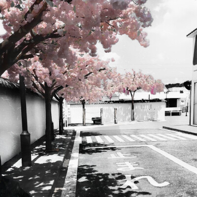 故事鮮豔