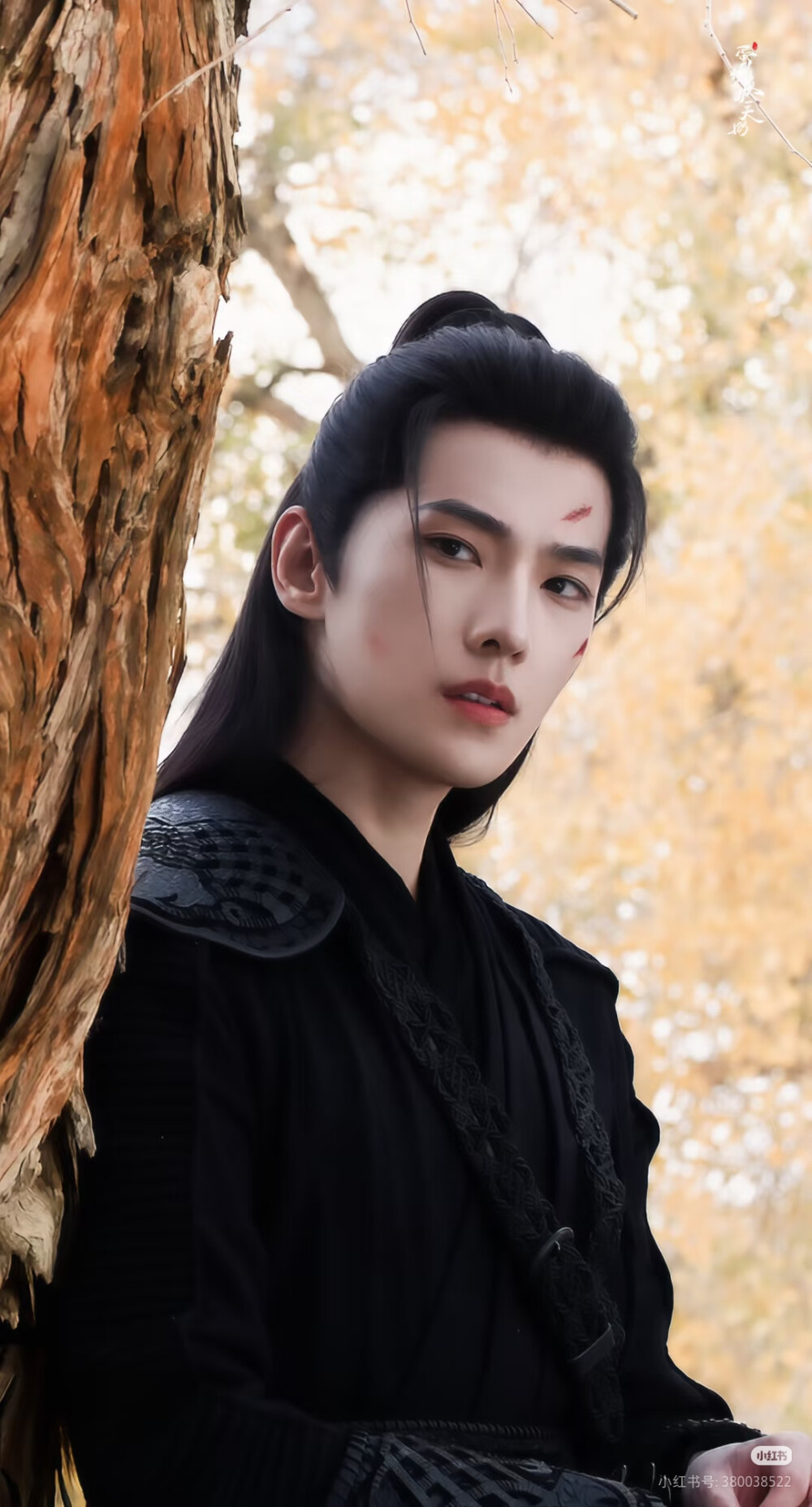 《凡人修仙传》杨洋