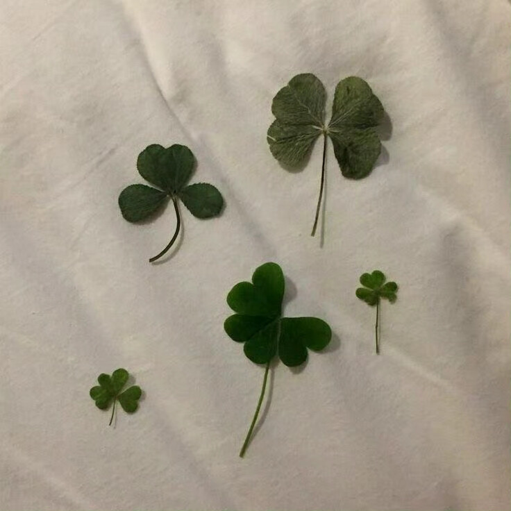 绿色 朋友圈背景图 ins风背景图