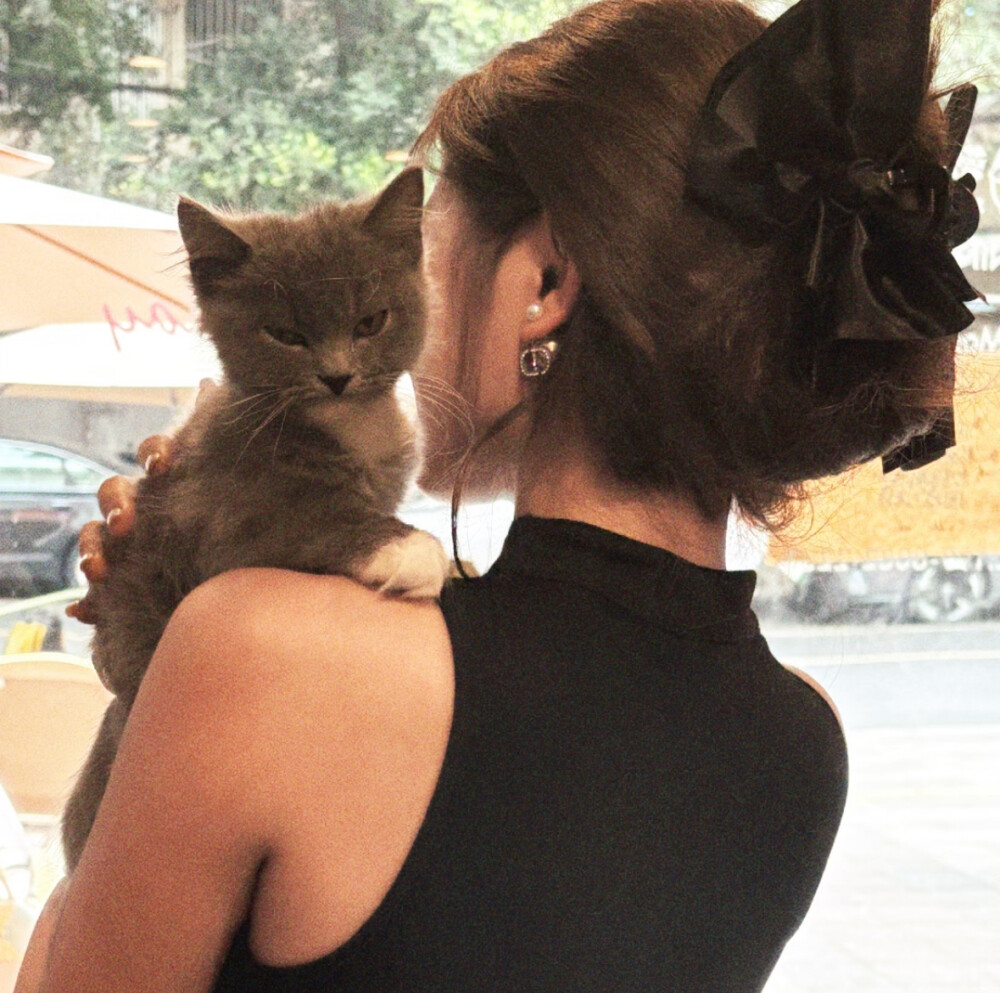 抱猫女头