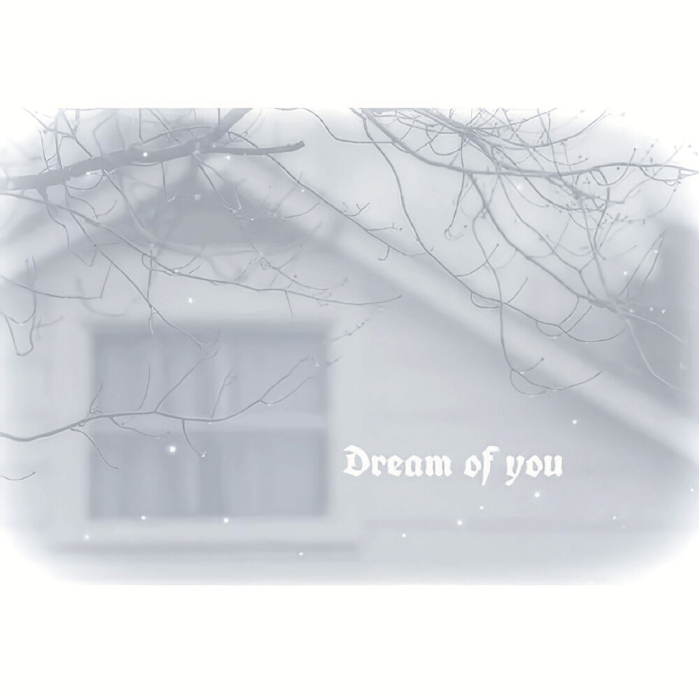 泪水打湿减肥沙拉，发誓以后开帕拉梅拉。