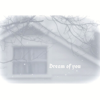 泪水打湿减肥沙拉，发誓以后开帕拉梅拉。