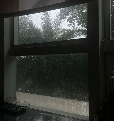 dt 2y-d