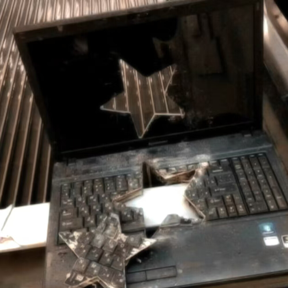 埜鸢₌･֊･₌