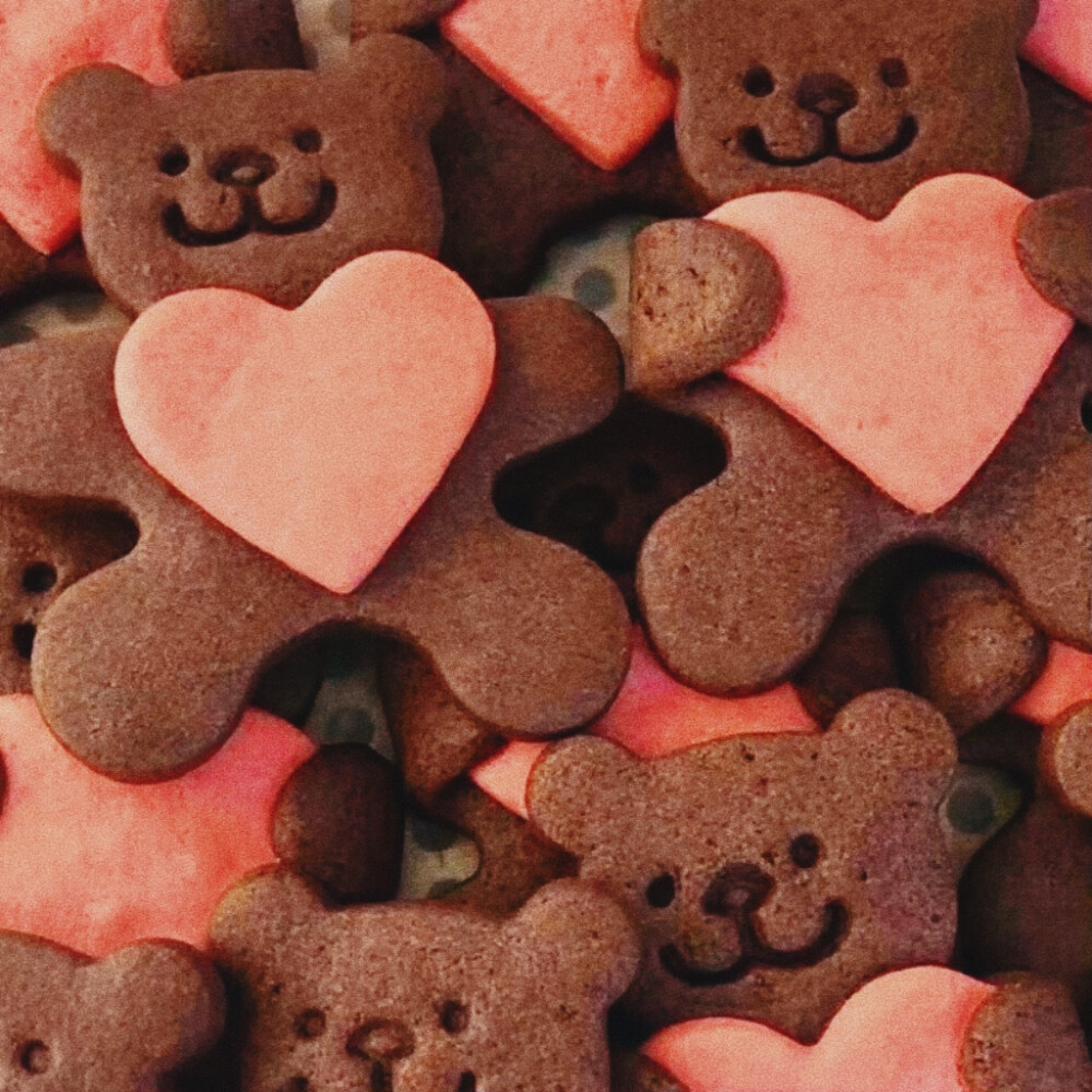 秋天的夜凋零在漫天落叶里，好像回到过去和你接吻的日子。