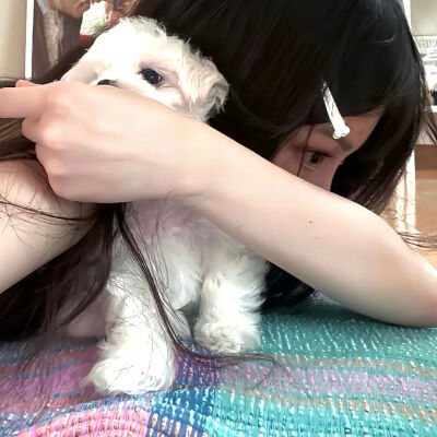 岁