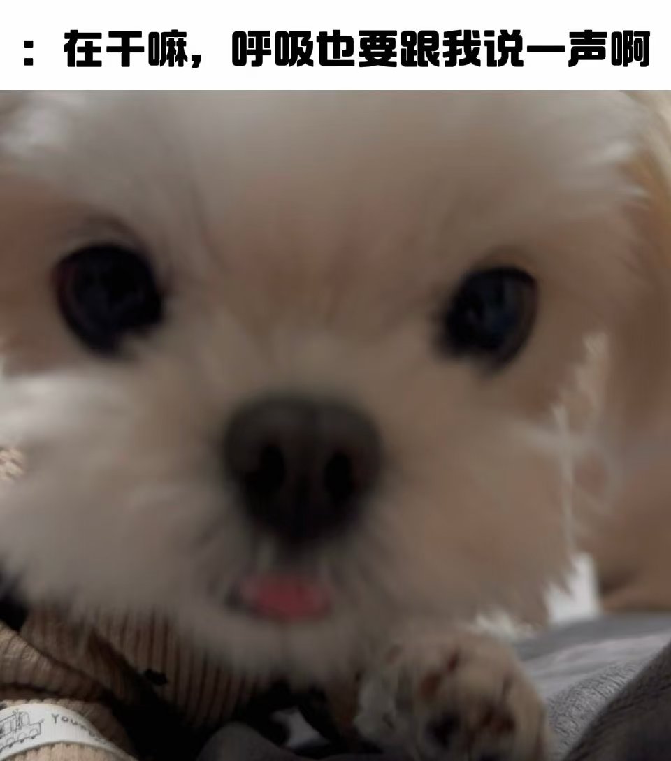 就算是呼吸这样不值一提的事情也要跟我报备哦