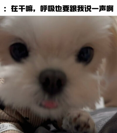 就算是呼吸这样不值一提的事情也要跟我报备哦