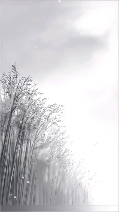 师尊的教导