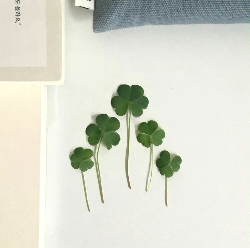 绿色 朋友圈背景图 ins风背景图