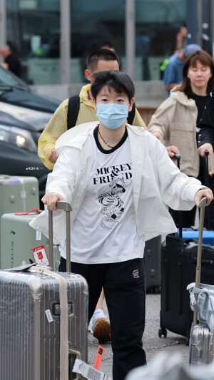 小太阳鲨鱼日记