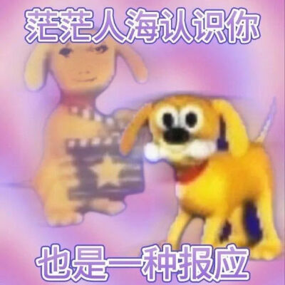 表情包