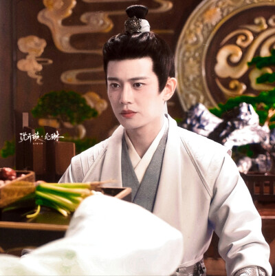 “这就是小南辰王，待人宽容，处事低调，他不怒自威，却毫无王爷的架子。”