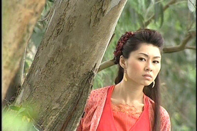 胡定欣 布衣神相 沈绛红