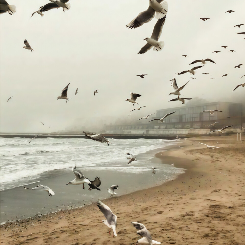 旧居窗畔（Former residence window side）