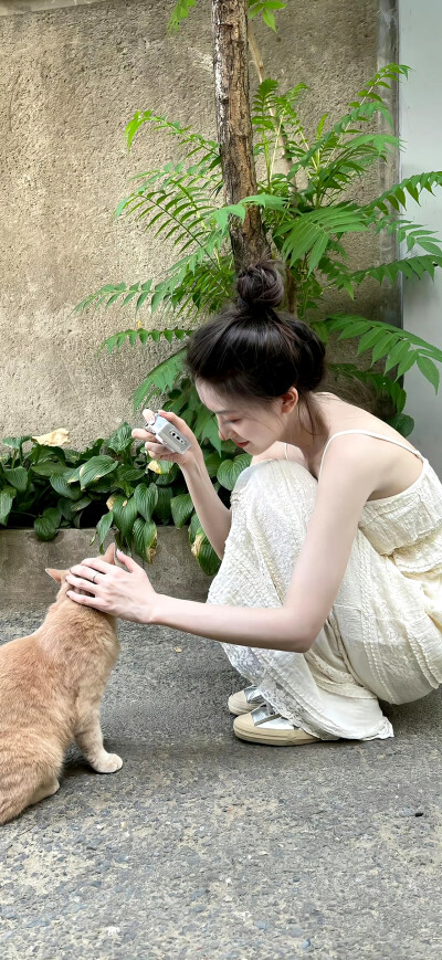 壁纸