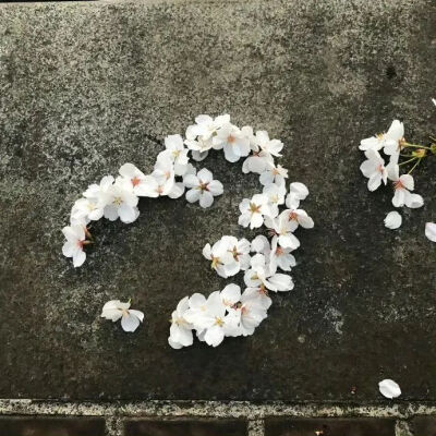背景图