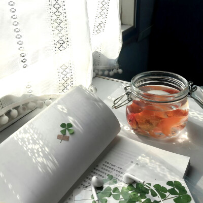 绿色 朋友圈背景图 ins风背景图