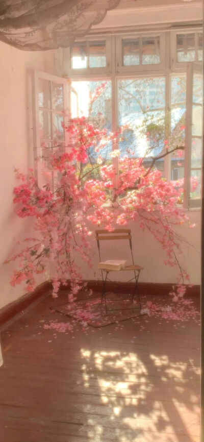 壁纸