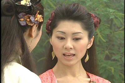 胡定欣 布衣神相 沈绛红