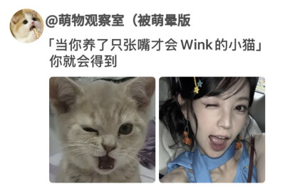 萌萌