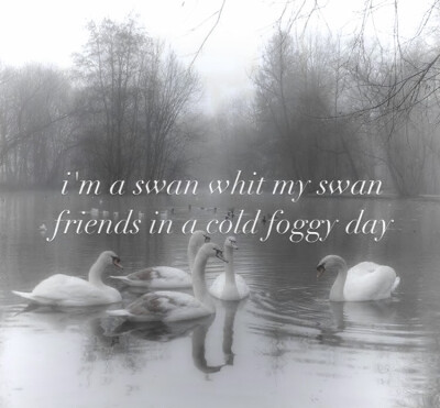 雪花收回一场冬季