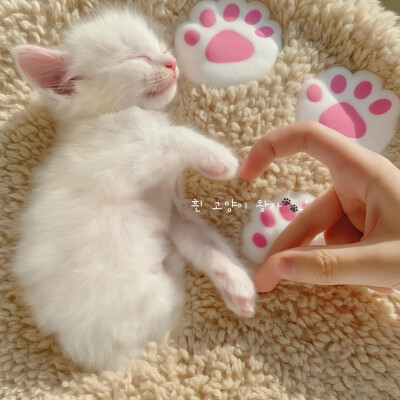 朋友圈背景图分享˚ （♡˙꒳˙♡）
#ins风背景图#