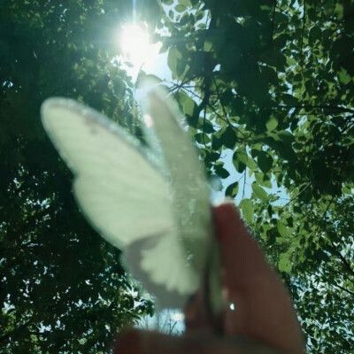 #背景图#装一点绿色放进包里