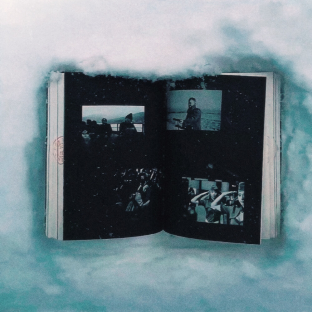 江郁你一直在宠我