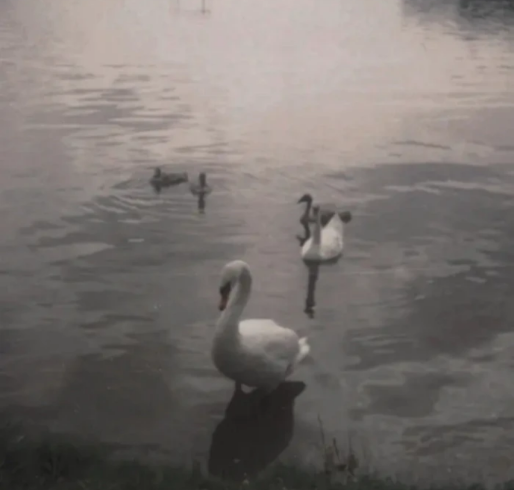 
终于理解你的冷漠直到我起床看到微信消息另一个人莫名其妙的分享欲却下意识退了出去原来我对不喜欢的人也这样