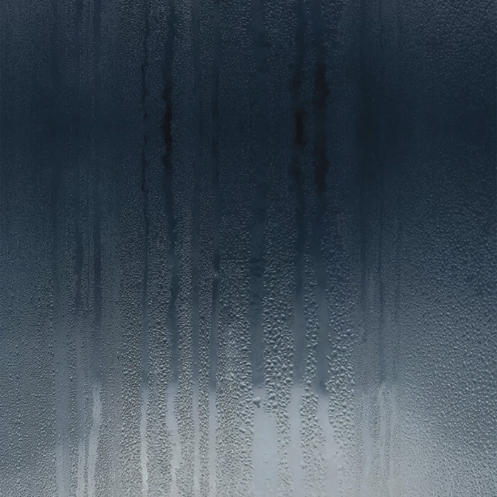 谭译这厢有礼了