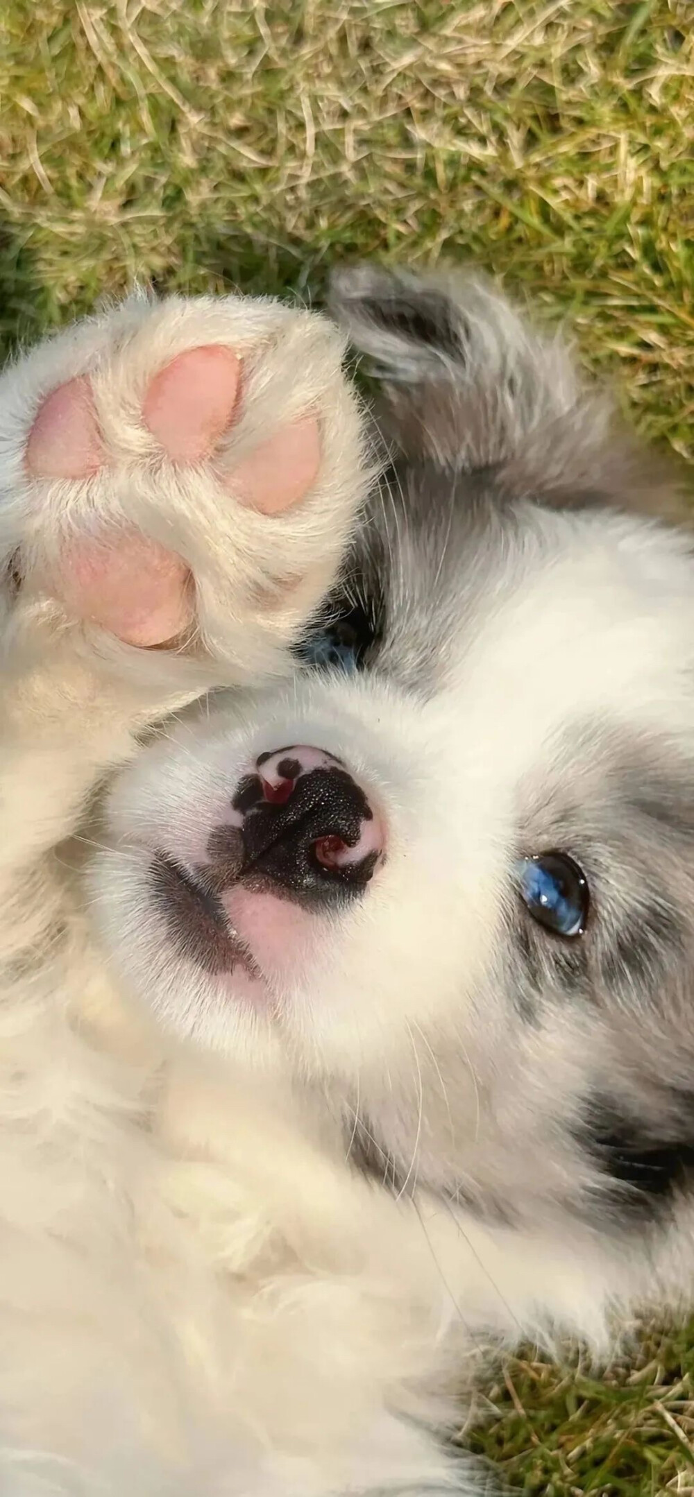 ‎#ليس قوة خارقة