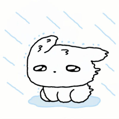 *✧⁺˚⁺ପ(๑･ω･)੭ु⁾⁾