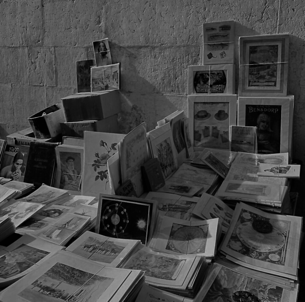 黎鹊抽奖送我的图。