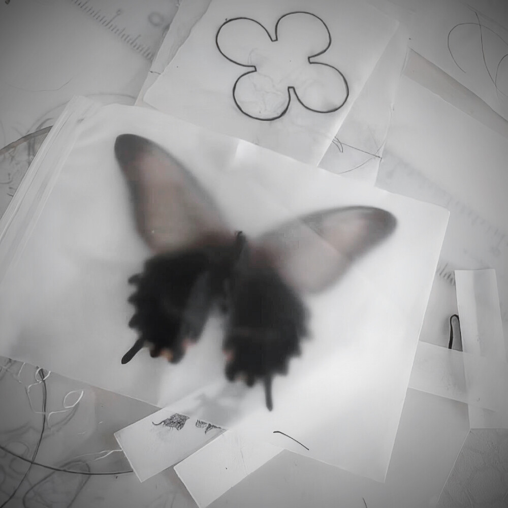 终于忘记你的时候 你出现在我的梦里