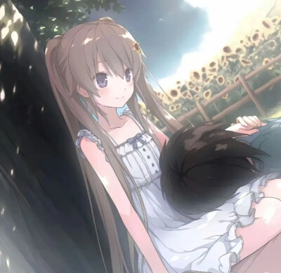 情头