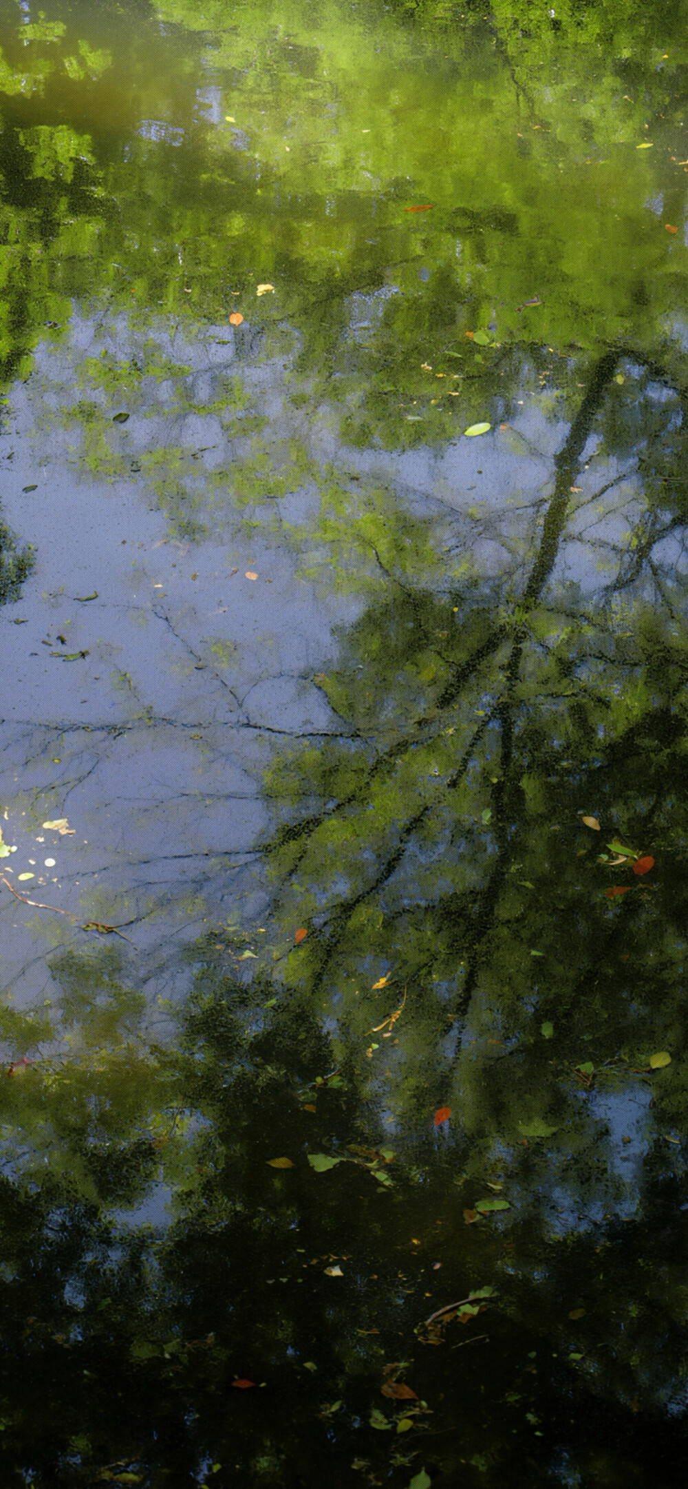 绿色壁纸 ins风壁纸 锁屏