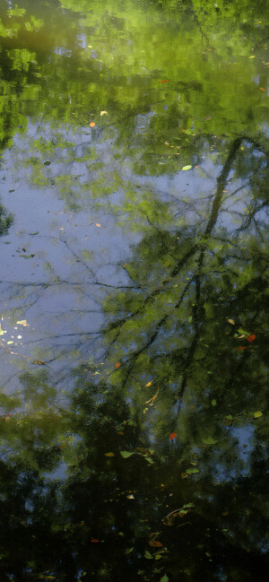 绿色壁纸 ins风壁纸 锁屏