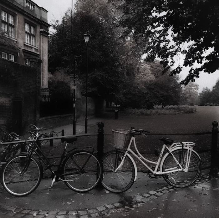 ：爱是上古的遗物