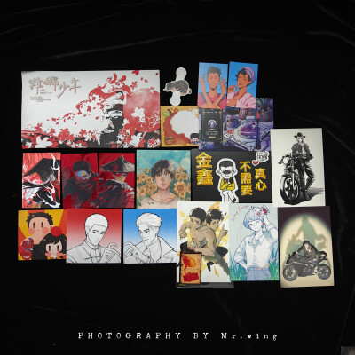 哇，是雄狮少年啊