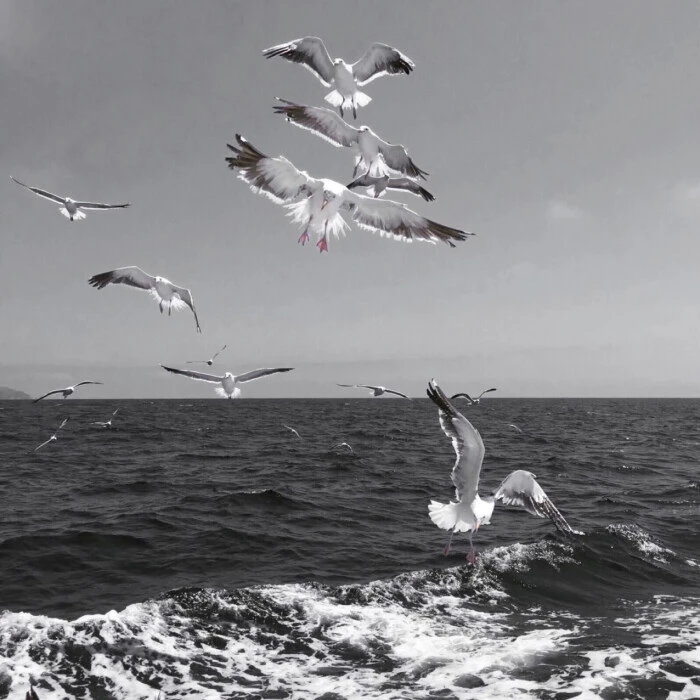 Offrir mon cœur...维纳斯女神的泪滴-!!