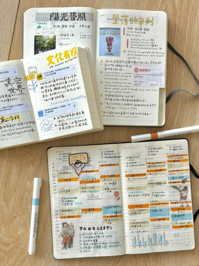 帕瑞斯安 小红书号：294193535（小红书博主）