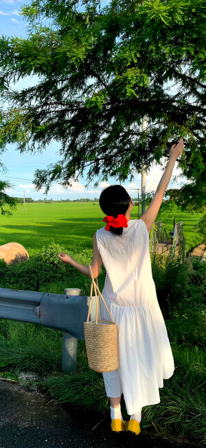 绿色壁纸 ins风壁纸 锁屏