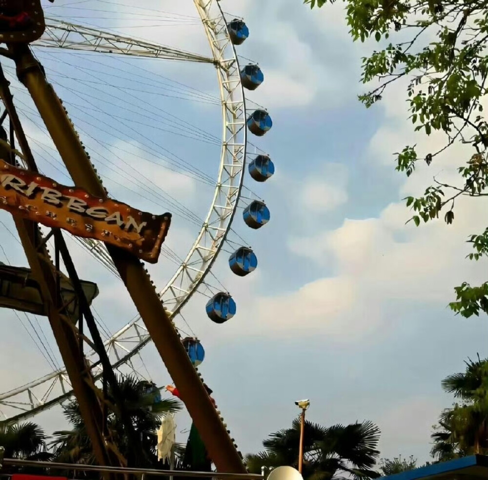 #背景图#风是自由的 希望你也是