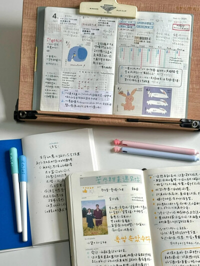 帕瑞斯安 小红书号：294193535（小红书博主）