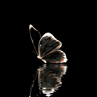 «Esthétisme mortel»まぶしさ＊罪”