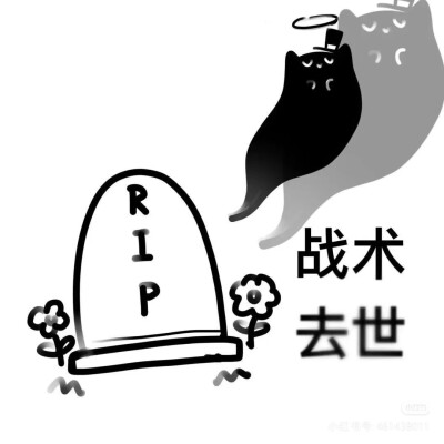 克猫猫表情包
