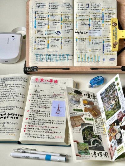 帕瑞斯安 小红书号：294193535（小红书博主）