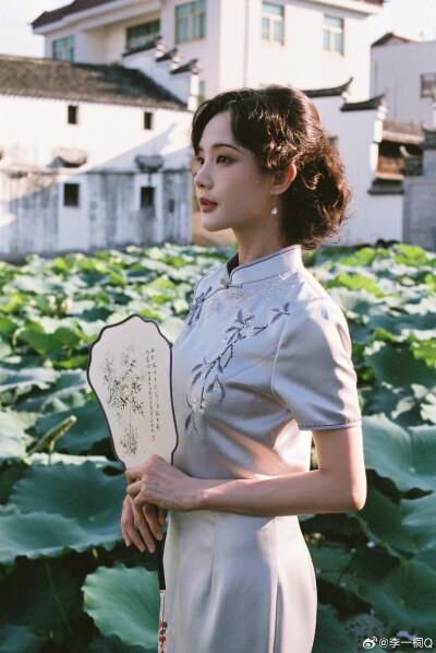 李一桐