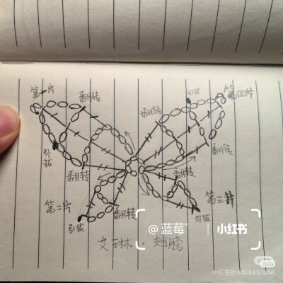 艾琳软糖